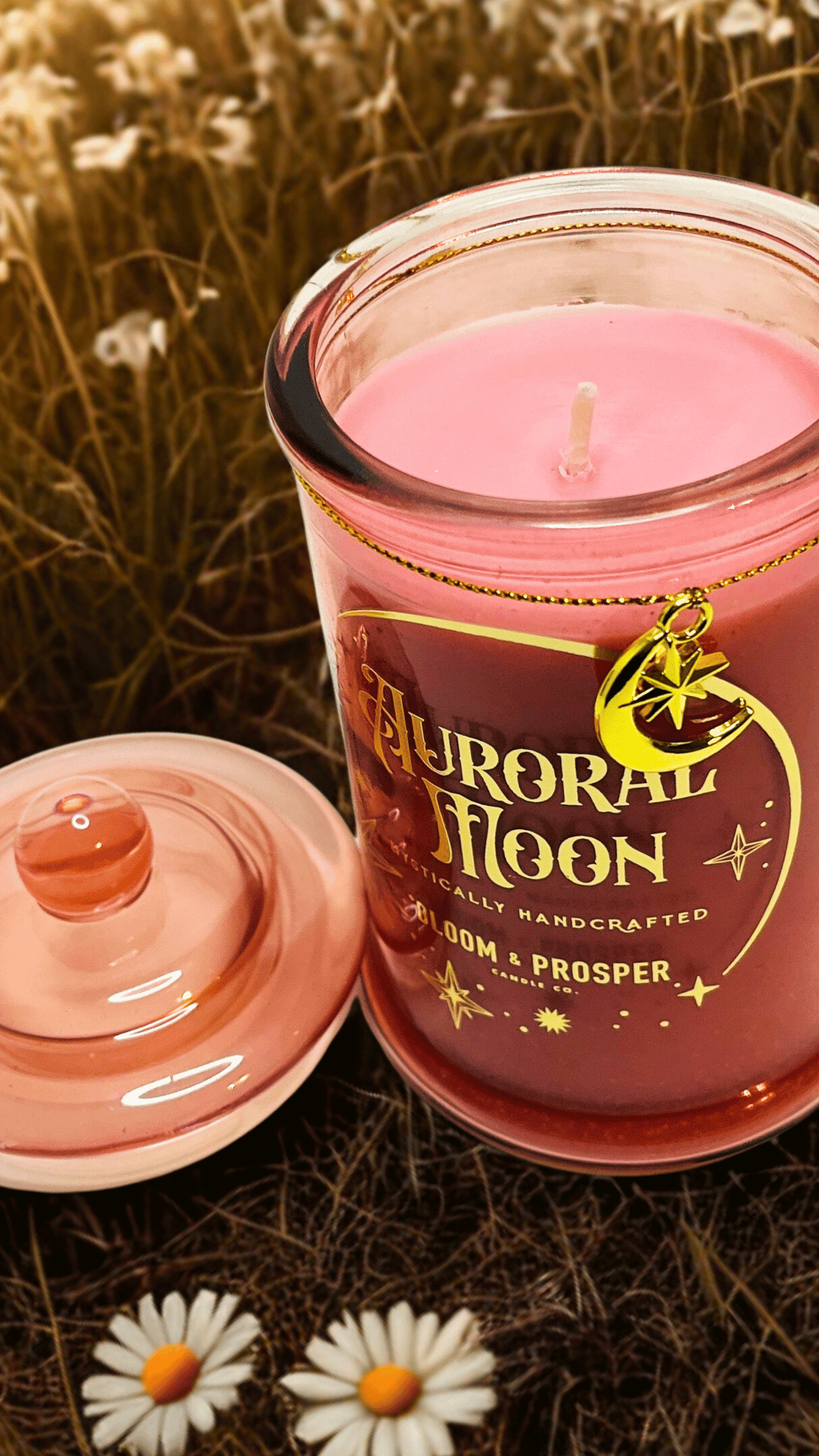 Pink candle with 'Auroral Moon' branding in a natural setting with flowers.